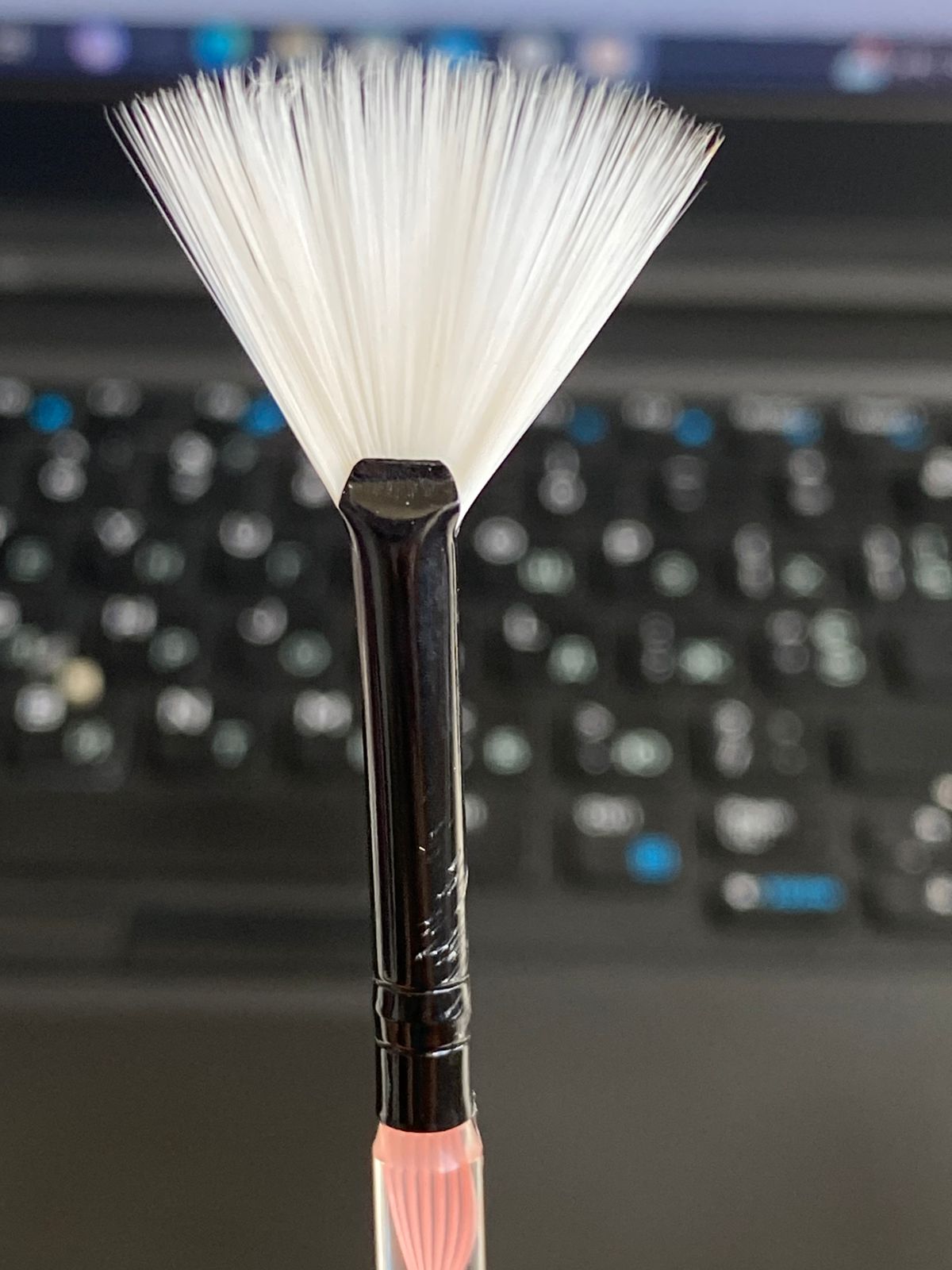 Pinsel 1stk. Fächer