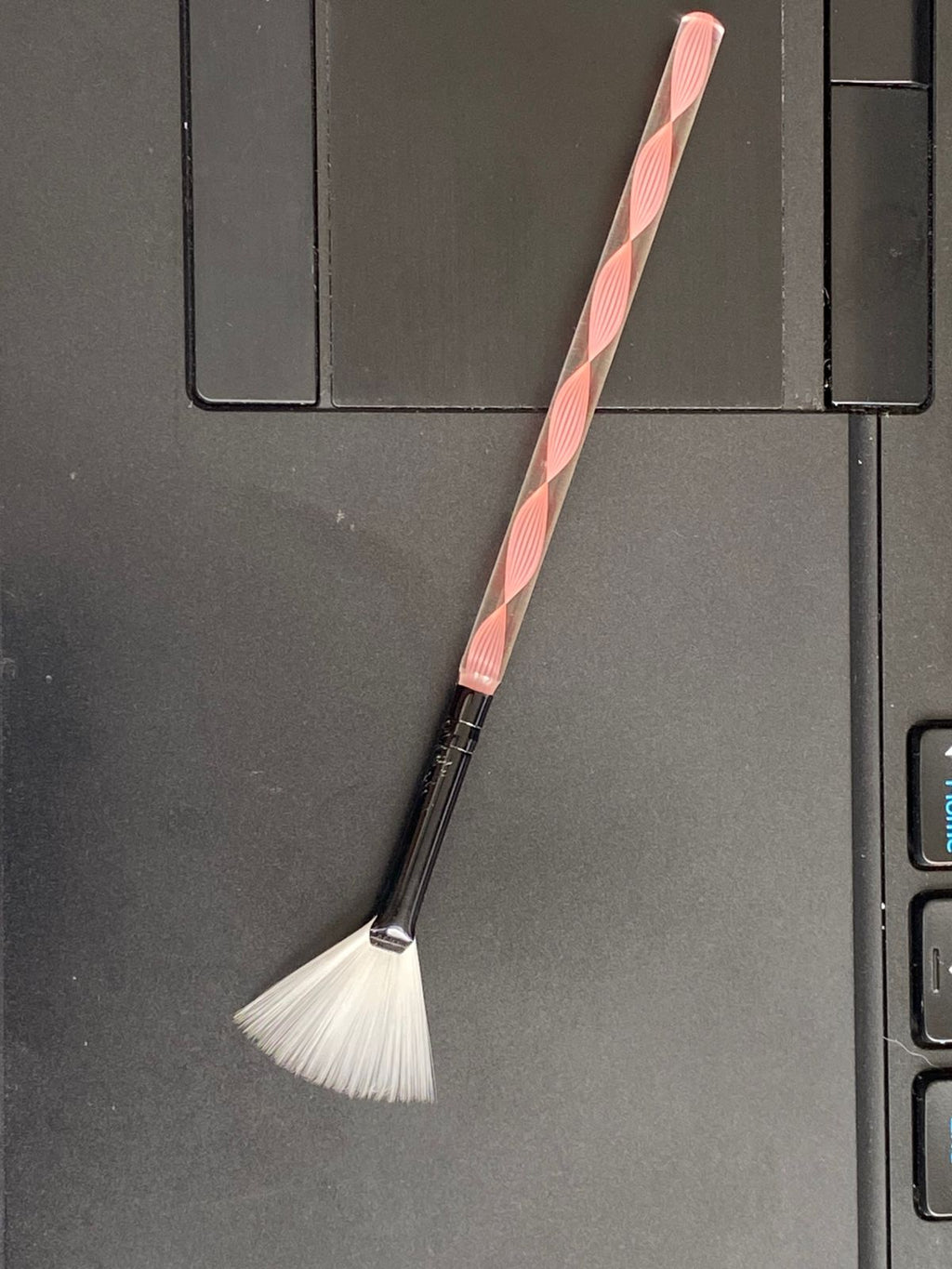 Pinsel 1stk. Fächer